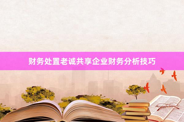 财务处置老诚共享企业财务分析技巧